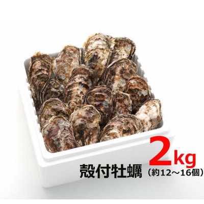 オレの牡蠣 アミスイ 殻付牡蠣2kg