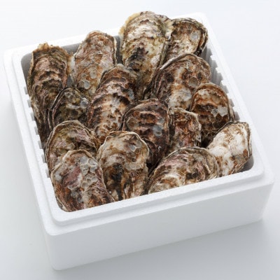 オレの牡蠣 アミスイ 殻付牡蠣2kg