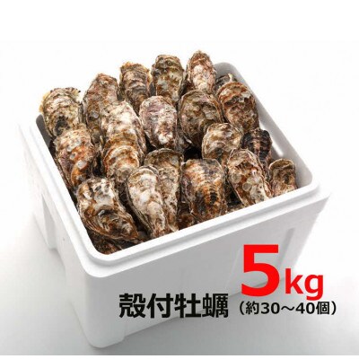 オレの牡蠣 アミスイ 殻付牡蠣5kg