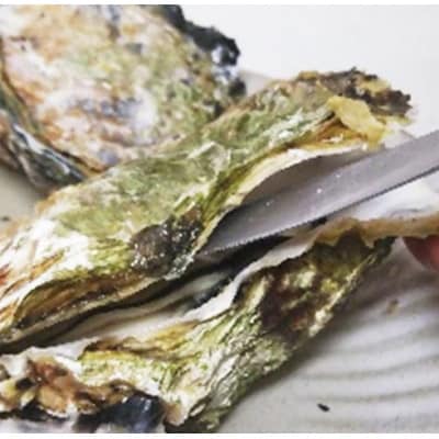 アミスイの牡蠣　オレのガンガン焼き(冷凍殻付)　5kg