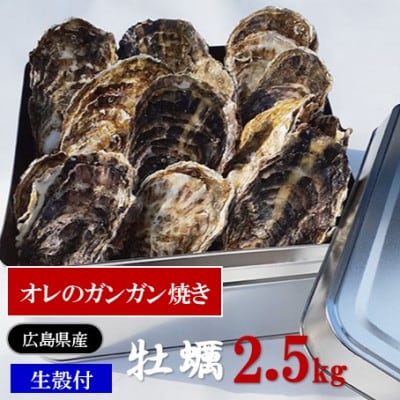 アミスイの牡蠣　オレのガンガン焼き(生殻付)　2.5kg