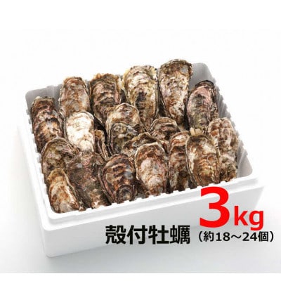 オレの牡蠣 アミスイ 殻付牡蠣3kg