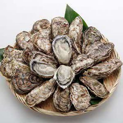 オレの牡蠣 アミスイ 殻付牡蠣3kg