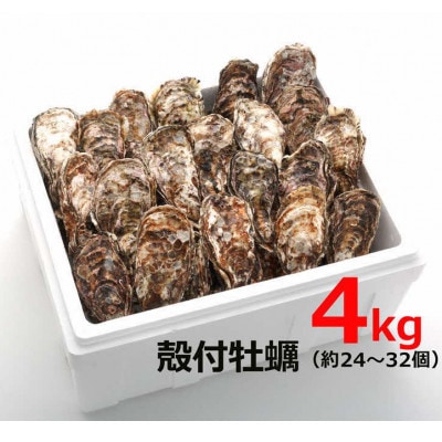 オレの牡蠣 アミスイ 殻付牡蠣4kg