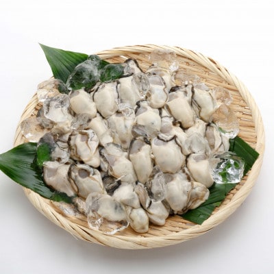 オレの牡蠣 アミスイ 生かきむき身1.5kg