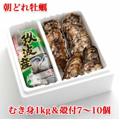 オレの牡蠣  アミスイ 生牡蠣むき身&殻付 Aセット