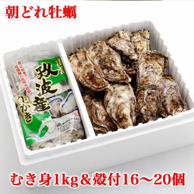 オレの牡蠣 アミスイ 生牡蠣むき身&殻付 Bセット