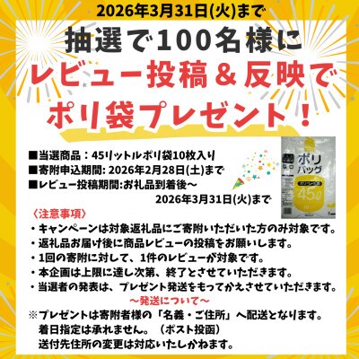 レビューキャンペーン中!瀬戸内海産味付のり 10本セット