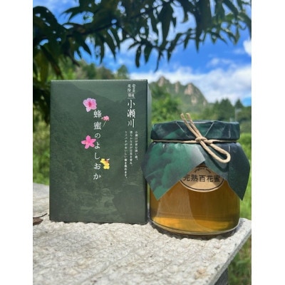 完熟純粋 ハチミツ 百花蜜 600g