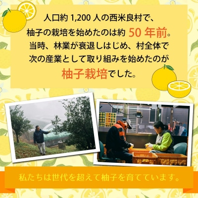 【ふるさと納税】天空の黄柚子 九州 宮崎 西米良村 柚子 ゆず