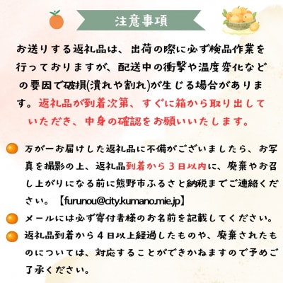 【2026年11月ごろから順次発送予定】金山パイロットファームの【温州みかん10kg(早生)】