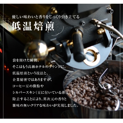 こだわりの低温焙煎! ドリップバッグコーヒー ギフトボックス(アイス20袋)H046-052