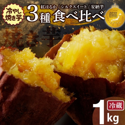 焼き芋 蜜たっぷり!冷やし焼き芋 ひえひえ君 3種食べ比べ 約1kg 芋スイーツ　H047-060