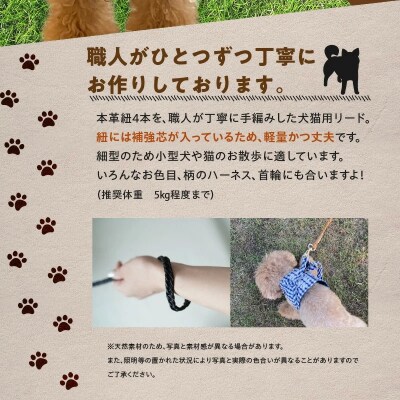 職人手作りの【本革】犬猫用リード H066-092