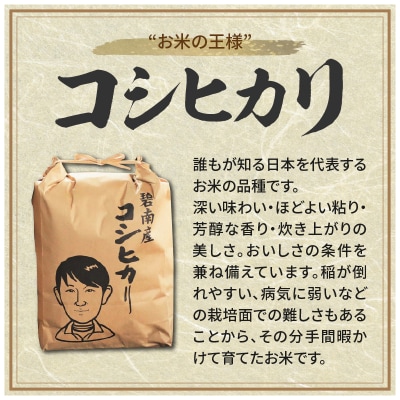 【潮かぶり米】令和7年 あいちのかおり&コシヒカリ2品種 食べ比べ10kg　H073-011
