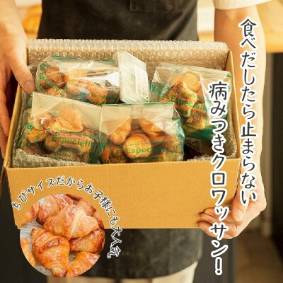 全粒粉ちびクロワッサン　どーんと1kg H087-013