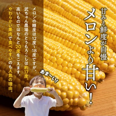 【2026年発送】(お試し)メロンより甘い 生とうもろこし“にっこりコーン” 3本 H095-035