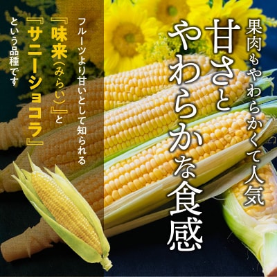 【2026年発送】(お試し)メロンより甘い 生とうもろこし“にっこりコーン” 3本 H095-035