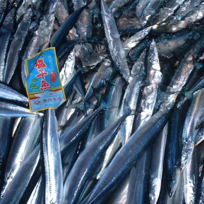 さんま丸干し 10本 魚作商店 3代目の丸干し製法