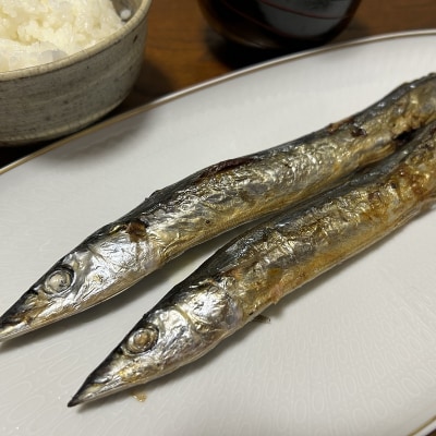 さんま丸干し 20本 魚作商店 3代目の丸干し製法
