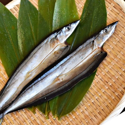 さんま干物6セット