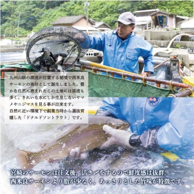 【ふるさと納税】奥日向サーモン1尾 (約0.85kg)　ご当地サーモン