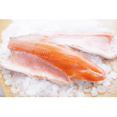 【ふるさと納税】奥日向サーモン1尾 (約0.85kg)　ご当地サーモン
