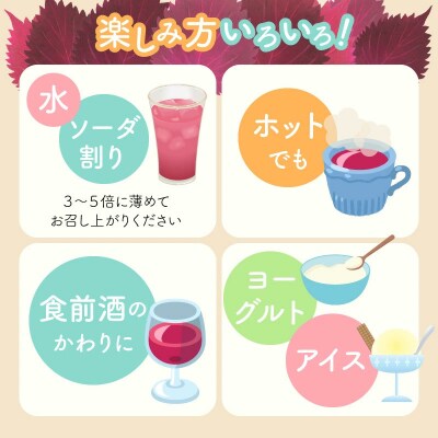 『一番摘み赤しそドリンク～18年熟成梅寿酢仕立て～』 300ml2本  H001-126