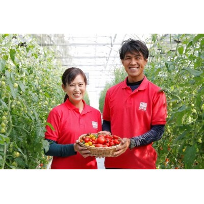 【事前受付】【4月～6月の定期便】たっぷり約2kg×3回!トマトベリーの定期便 H004-229