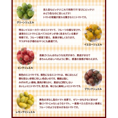 【4月～6月の定期便】たっぷり約2kg×3回!ジュエリーミニトマトの定期便 H004-230