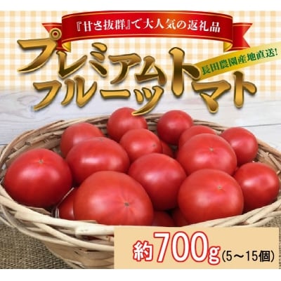【事前受付】【お試し】期間限定!プレミアムフルーツトマト　H004-237