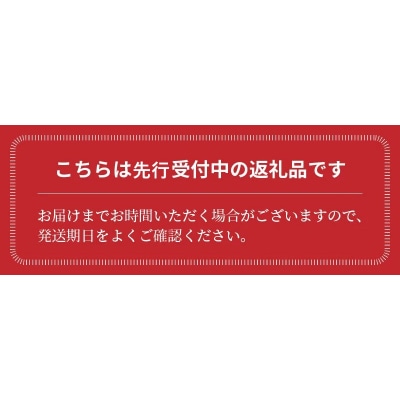 1月～6月毎月発送 プレミアムフルーツトマトの定期便6回コース H004-255