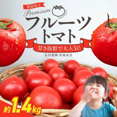 【事前受付】期間限定!プレミアムフルーツトマト 約1.4kg H004-257