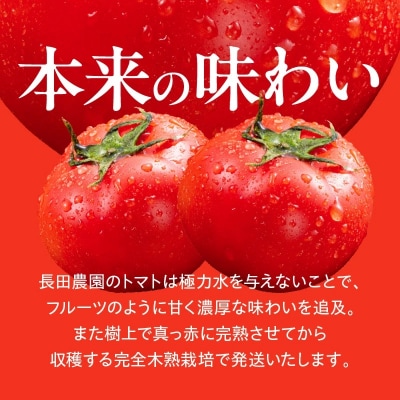 【事前受付】期間限定!プレミアムフルーツトマト 約1.4kg H004-257
