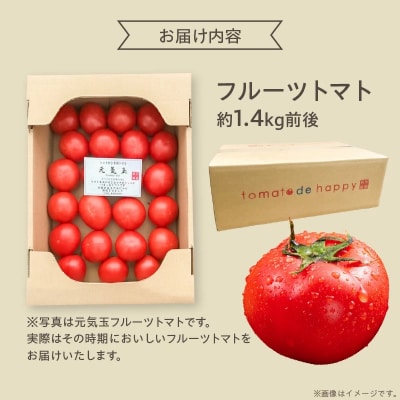 【事前受付】期間限定!プレミアムフルーツトマト 約1.4kg H004-257