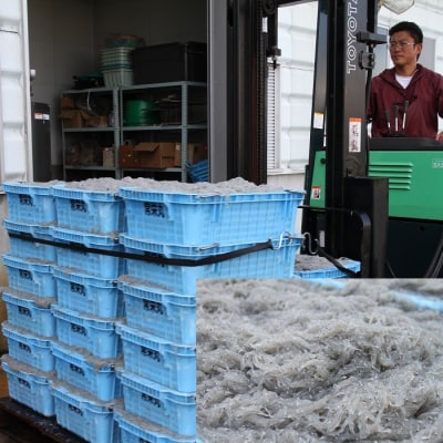 【1年定期便 毎月 全12回】しらす屋のしらす干し630g(70g×9p) H006-116