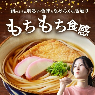 【乾麺】碧海の恵み うどん 愛知県産 徳用セット3.75kg(250g×15袋)　H008-275