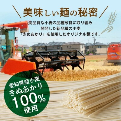 【乾麺】碧海の恵み うどん 愛知県産 徳用セット3.75kg(250g×15袋)　H008-275