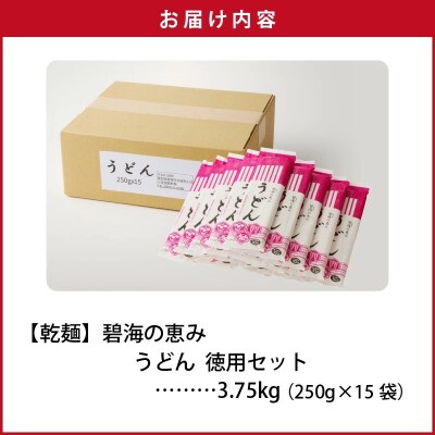 【乾麺】碧海の恵み うどん 愛知県産 徳用セット3.75kg(250g×15袋)　H008-275