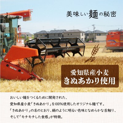 【乾麺】碧海の恵み ひやむぎ 愛知県 徳用セット3.75kg(250g×15袋)　H008-278