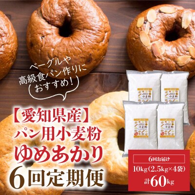 【小麦粉】愛知県産 ゆめあかり パン用 強力粉 2.5kg×4袋　定期便6回 H008-292