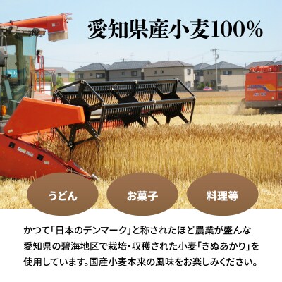 【小麦粉】愛知県産 きぬあかり 国産 薄力粉 1kg×5袋　定期便12回　H008-295