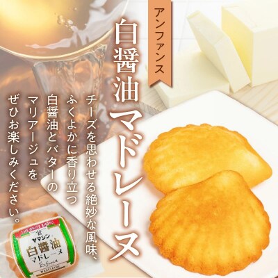 碧南銘産セット 伝統の木桶仕込みヤマシン白醤油と絶品白醤油マドレーヌ　H010-018