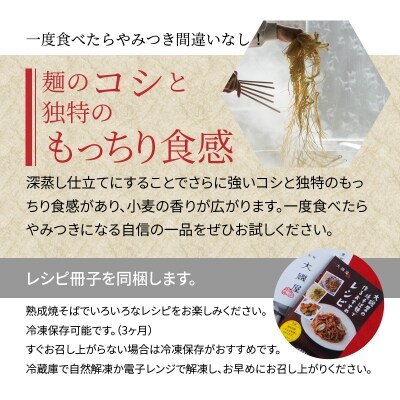 メディア紹介多数!大磯屋の熟成焼そば 10食(平麺) ナポリタンソース1本付 H014-060