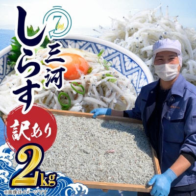 訳あり モリモリ2kg!バラエティ豊富な三河しらす　H018-060
