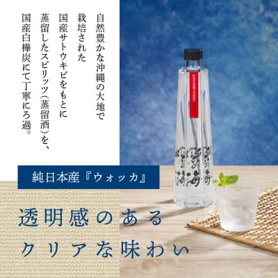国産ウォッカ『碧の海』500ml瓶×2本 H044-049