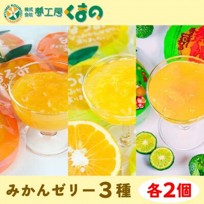 【果肉入り贅沢みかんゼリー6個(3種各2個詰め合わせ)】化粧箱