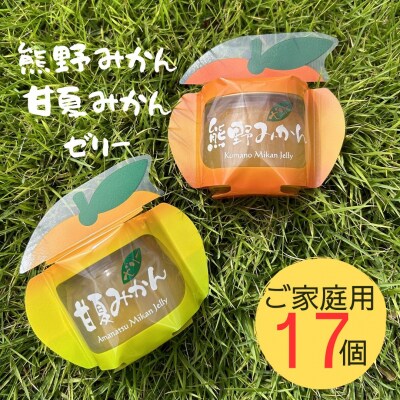 【熊野みかん&甘夏みかんゼリー17個☆】包装なし・ご家庭用