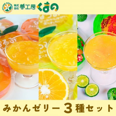 【濃厚ゼリー3種セット☆3個箱入り】