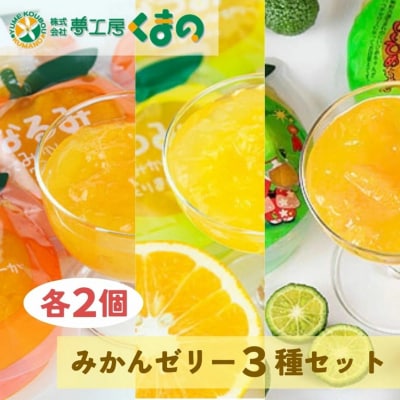 【果肉入り贅沢みかんゼリー3種詰め合わせ6個(3種×各2個)】化粧箱なし☆ご家庭用